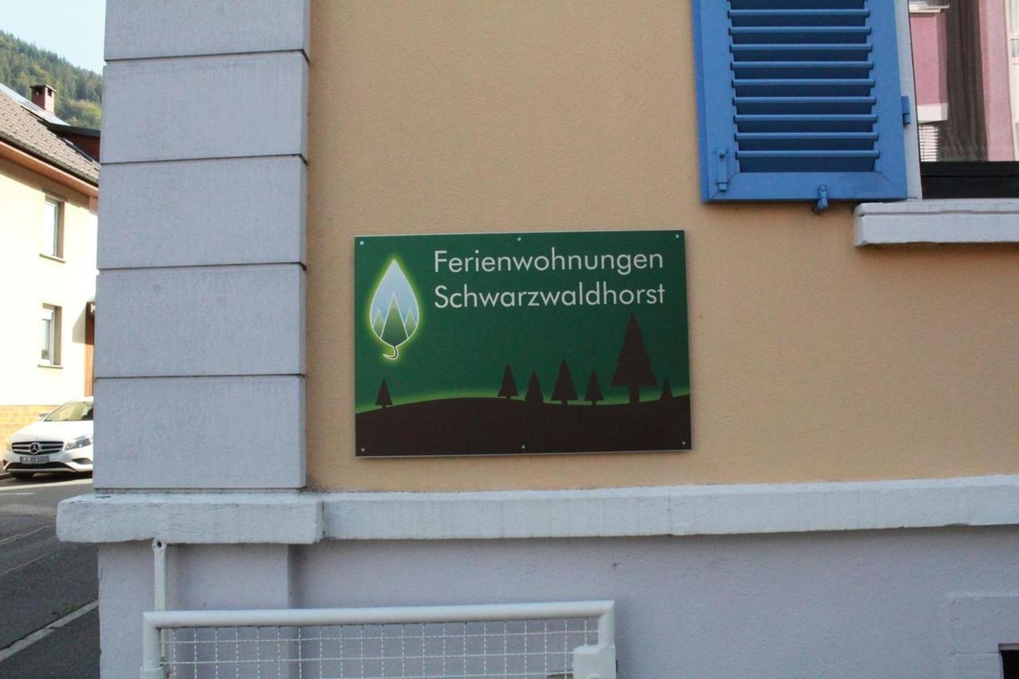 Schwarzwaldhorst Fewo 2 - Mit 4 Schlafzimmer - Todtnau, Liftverbund Feldberg 外观 照片