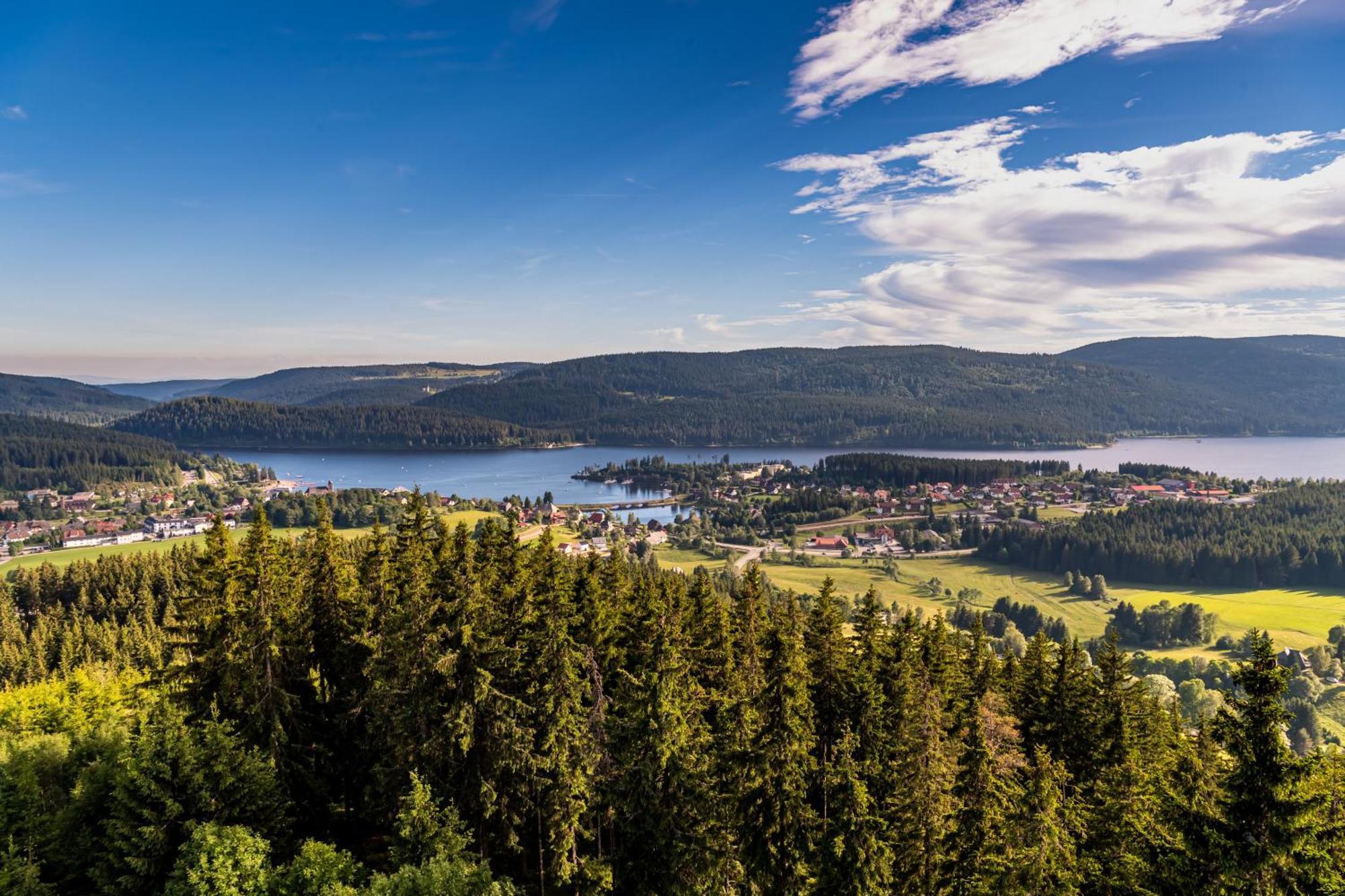 Schwarzwaldhorst Fewo 2 - Mit 4 Schlafzimmer - Todtnau, Liftverbund Feldberg 外观 照片